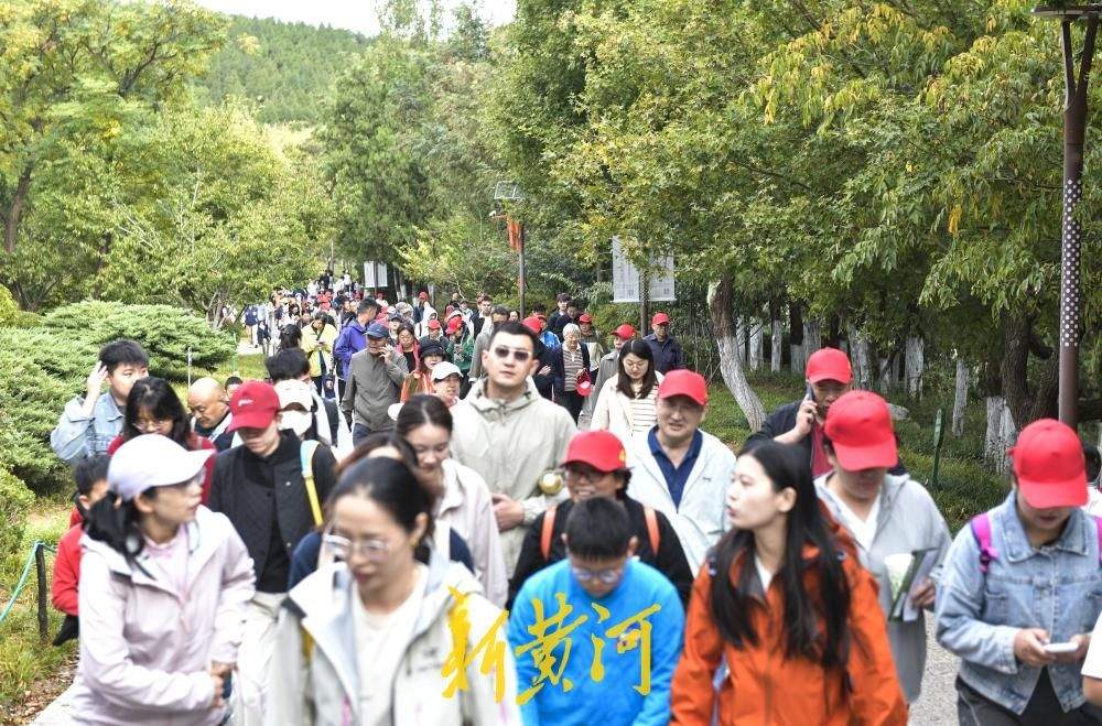 济南佛慧山重阳节迎登山客流高峰，市民登高赏秋享佳节
