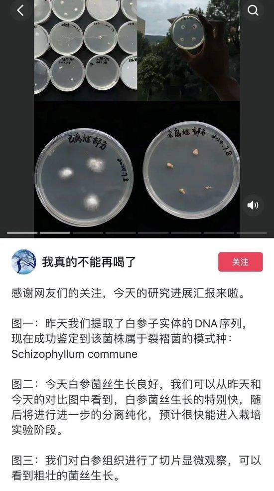 长蘑菇的苹果意外成网红,专家:这菌子能吃!