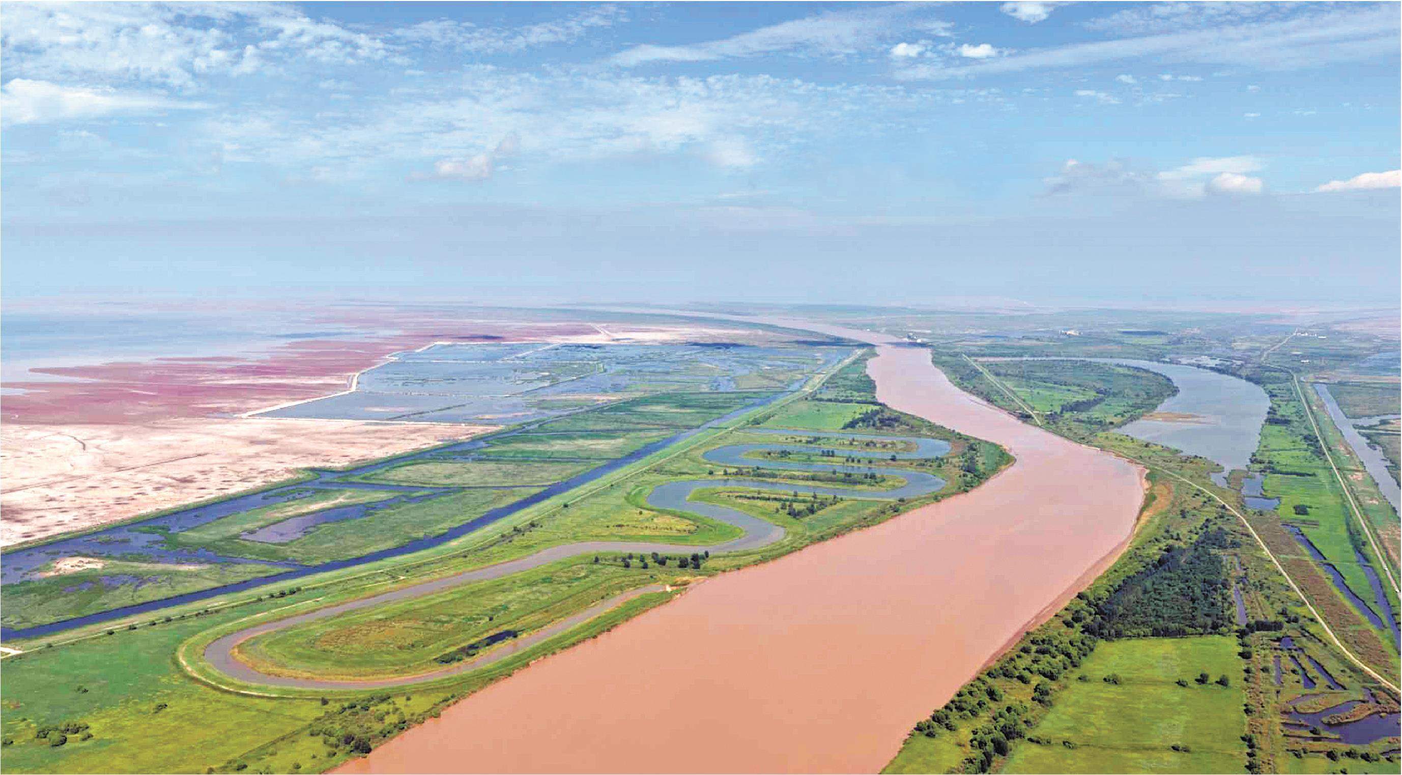 大河奔流气象新—山东奋力谱写黄河流域生态保护和高质量发展新篇章