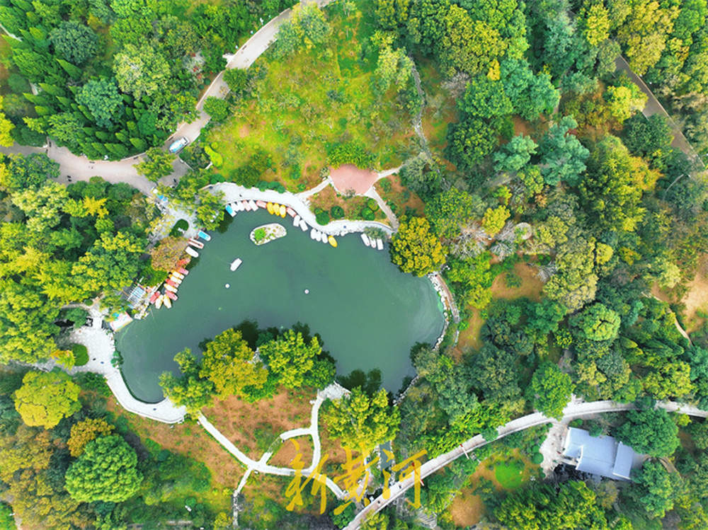 泉城公园进入最佳观赏季，空中俯瞰五彩斑斓处处皆景