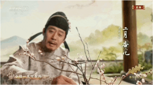 原来《贺花神》里，藏着这些东方美学！