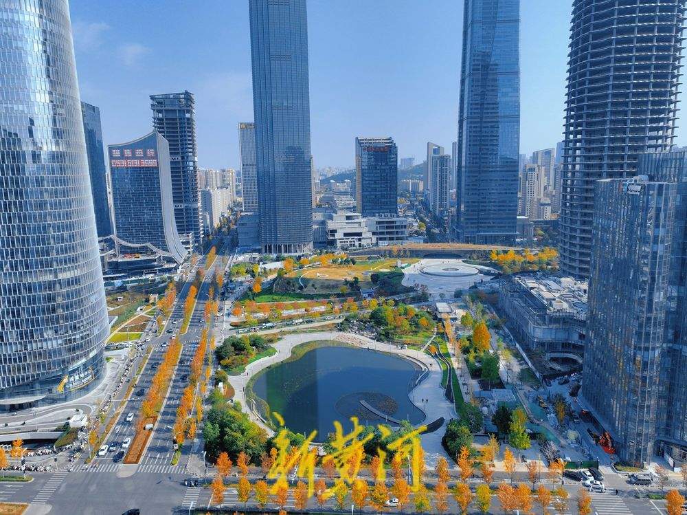 层林尽染 济南CBD“五指山”下秋意浓