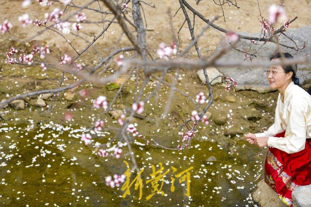 满园春花伴古城，济南最神秘公园里赏春