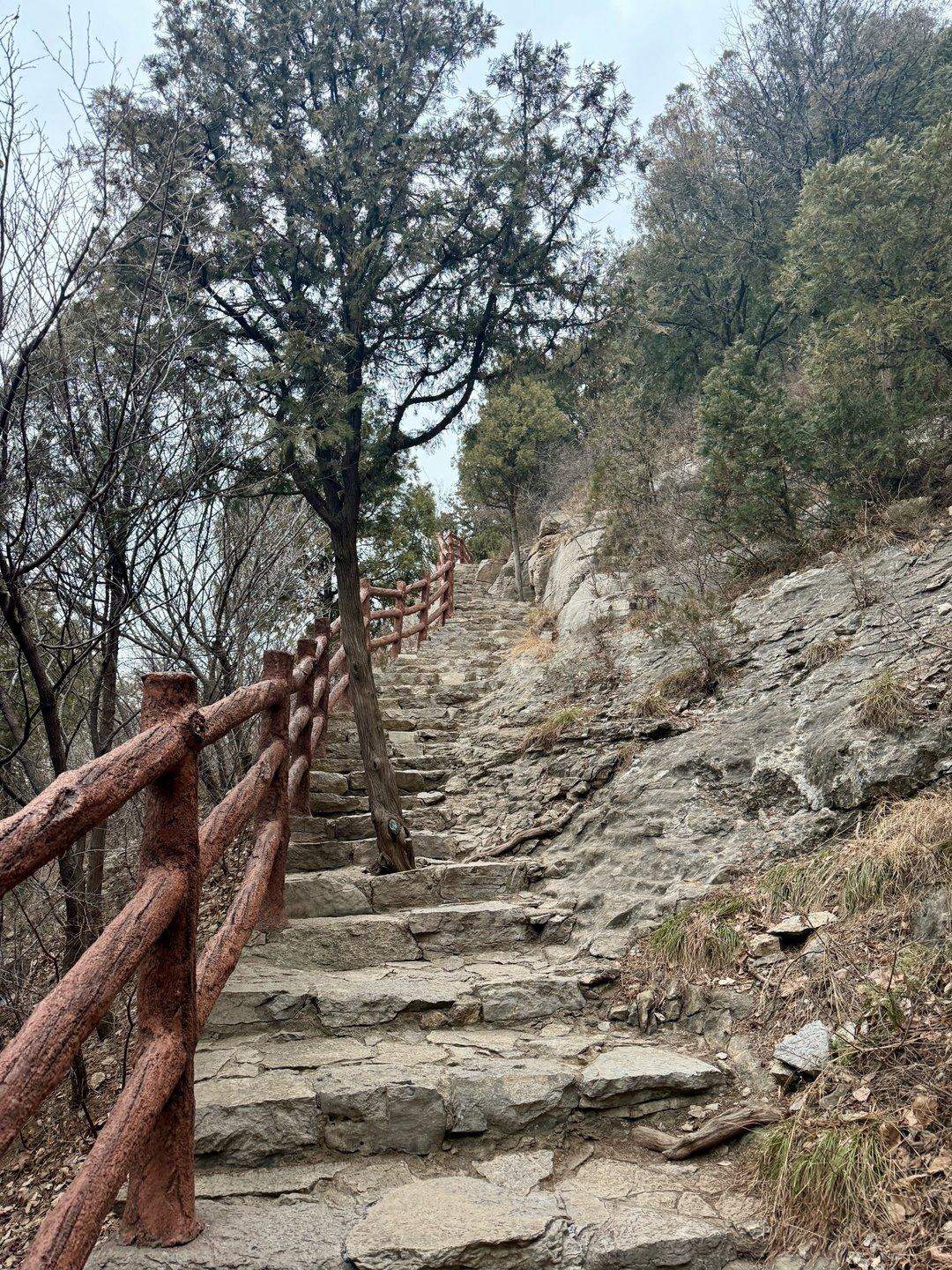 济南佛慧山,何以成为受市民喜爱的城区“零门槛”山地公园?