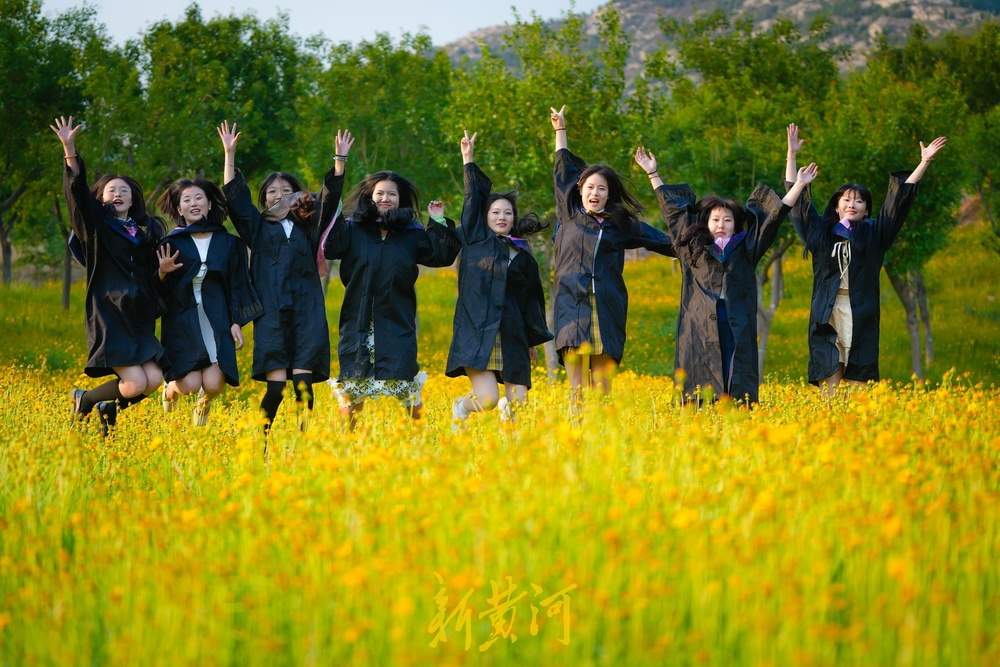 难忘大学时光，金鸡菊花海见证青春谢幕礼