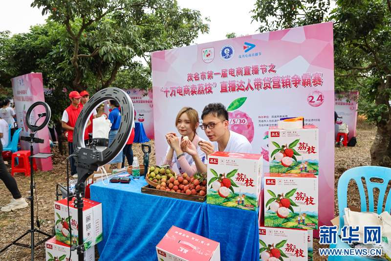 乡村振兴在行动｜荔枝树下新“三变”让岭南至味释放新甜蜜