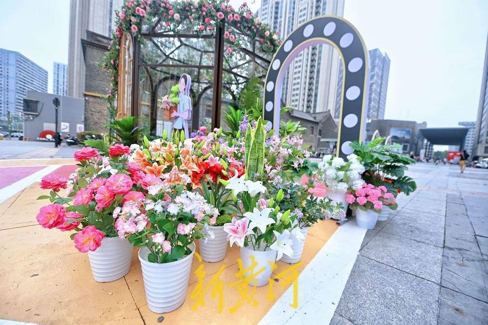 转角遇见泉城浪漫，民康里步行街角现美丽花房
