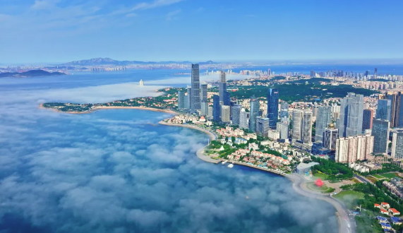 省委书记、省长部署，青岛这些企业发言！经济大省的“人工智能+”