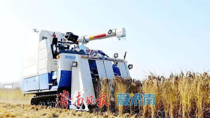 趵眼｜“半小时”服务圈为泉城农业赋能