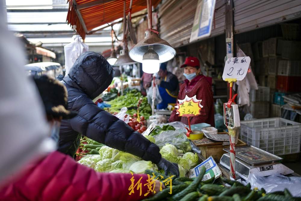 济南蔬菜供应充足价格回落