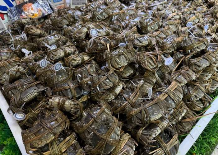 我们的节日·中秋