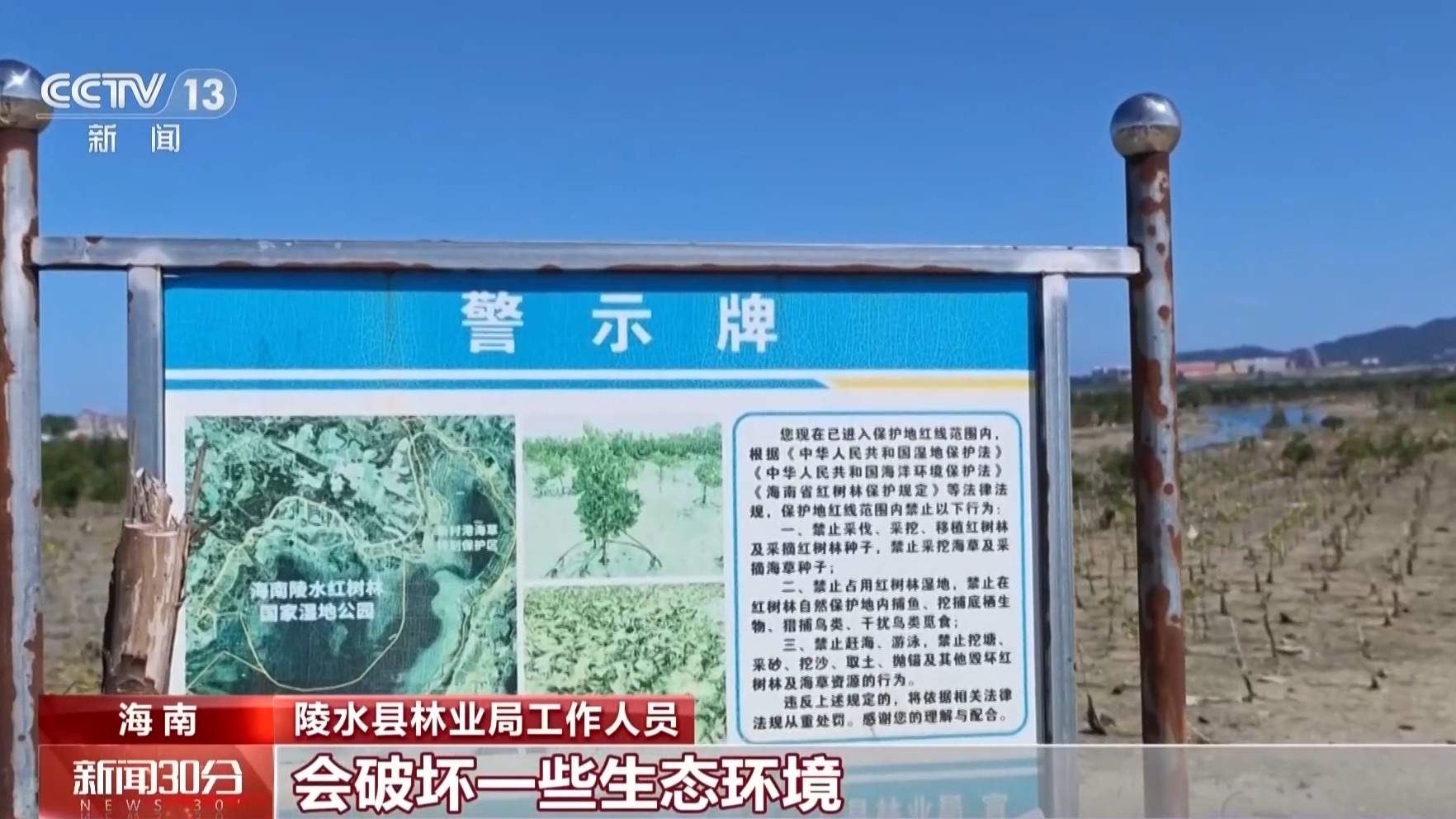 地笼泛滥 红树林保护区竟成赶海“乐园”!记者调查
