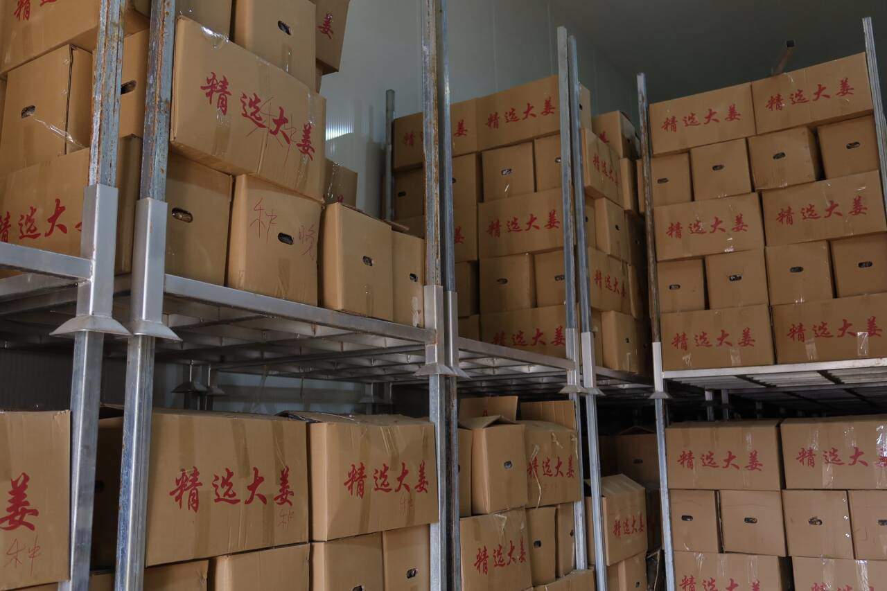 融媒·先锋｜联村共富记——一块田，一块甜