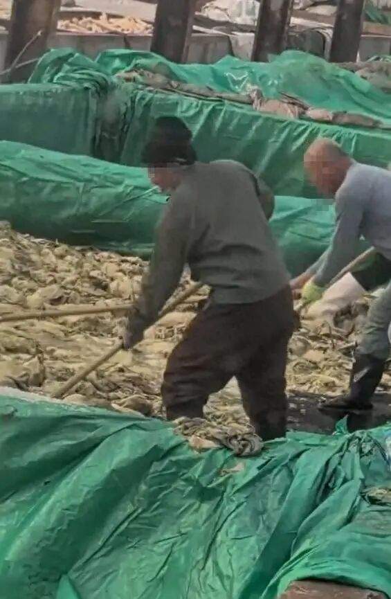 男子在酸菜池中全程抽烟还随口乱吐?当地回应:相关领导已抵达现场调查