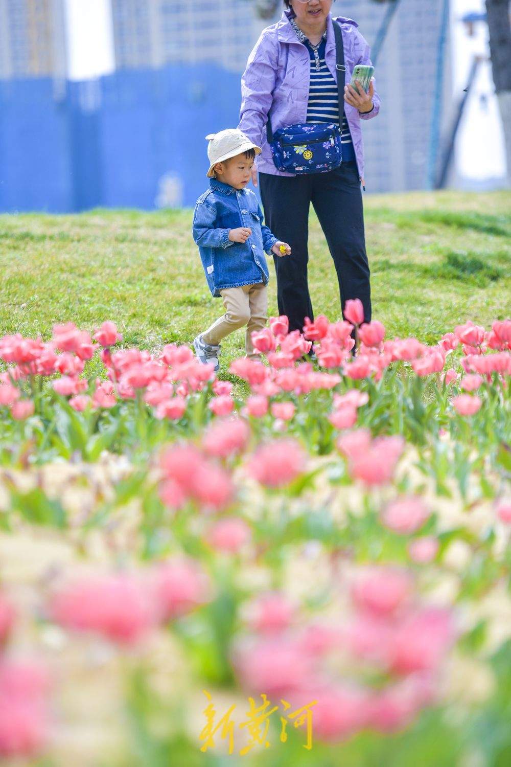 一年四季 泉在济南｜“郁”见明媚春光 人才公园绽放花海