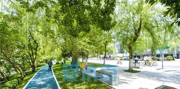 快来体验！千米绿道串起趵突泉和大明湖