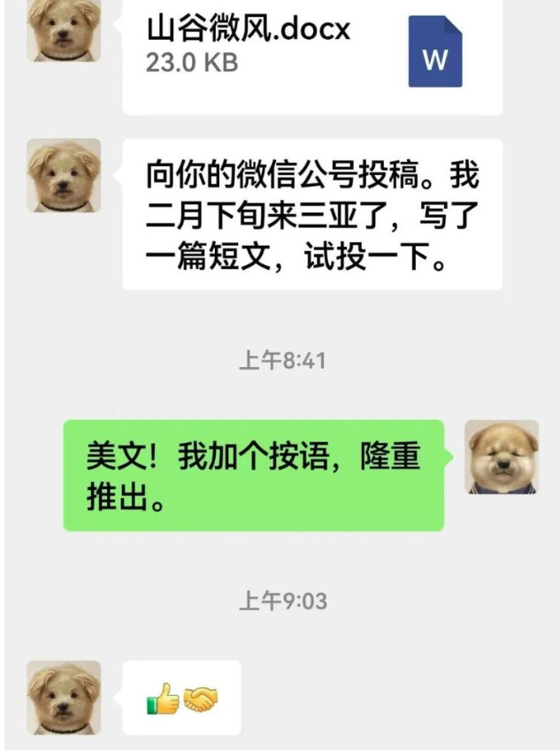 作家余华再回应被网友称作“潦草小狗”：挺好的