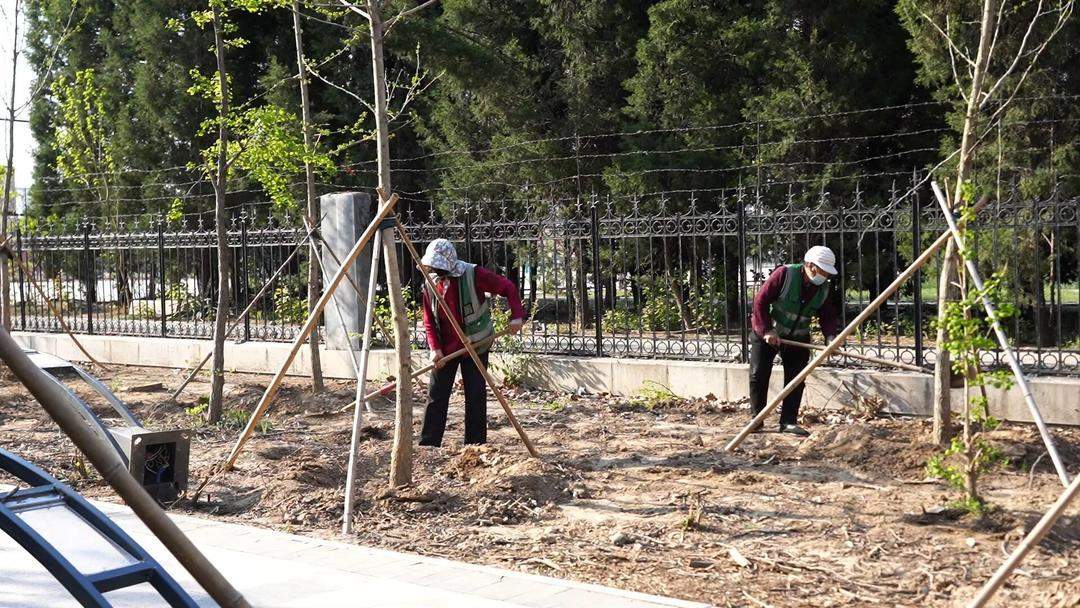 柳絮飘飞季 山东各地重拳出击护民生