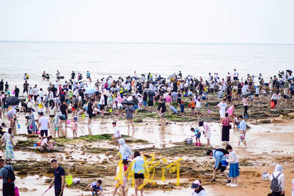 踏浪赶海讨海货，夏日来山东玩海吧