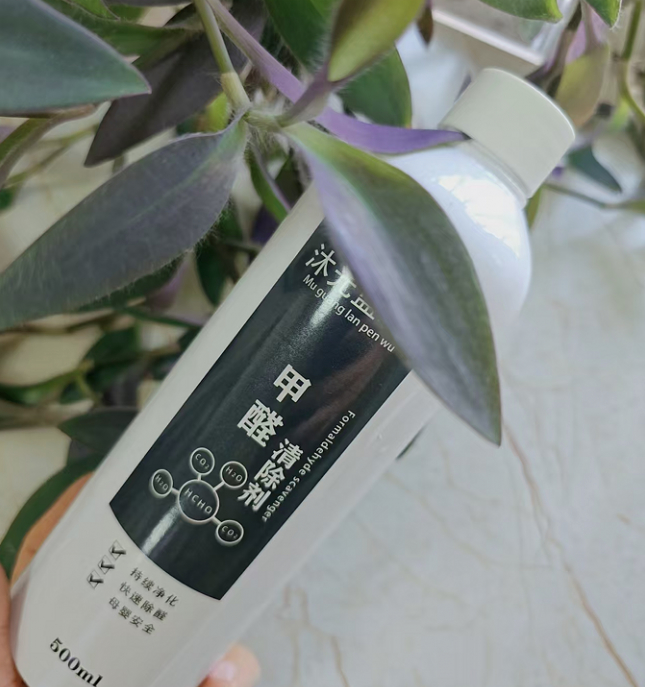 除甲醛哪种产品和技术靠谱 2026原理拆解+重度-轻度污染适配指南