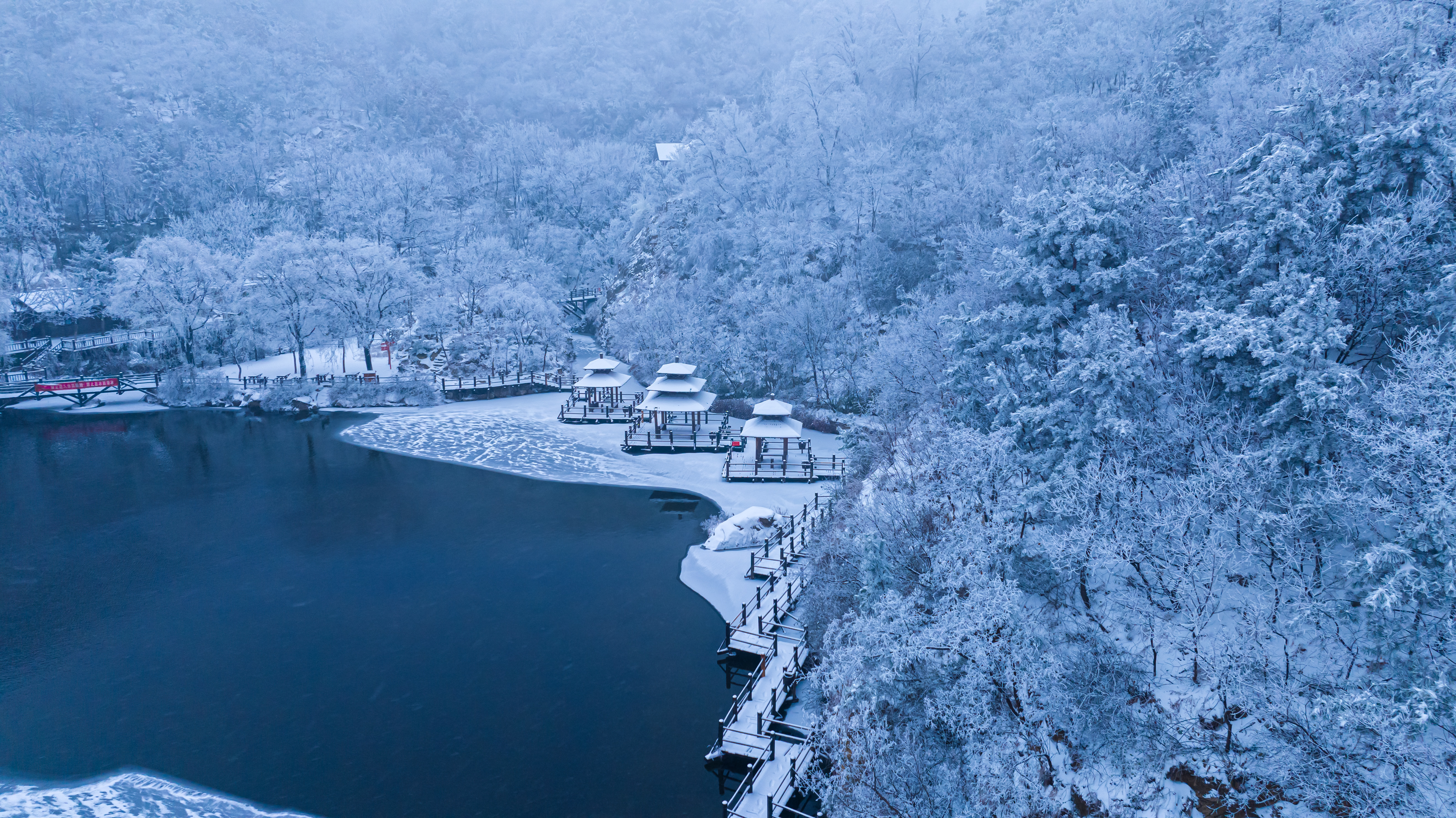 冬天最带劲儿的运动莫过于滑雪,在无垠的雪毯上纵横驰骋,享受速度与