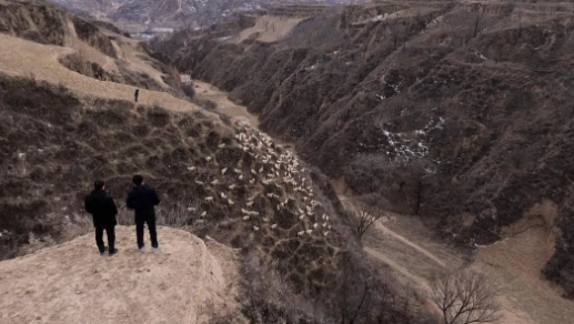 王计兵：在低处，记录这个时代