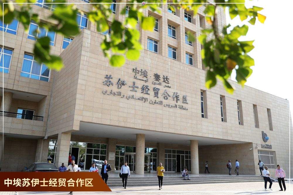 镜观·回响｜元首引领 中埃合作结硕果