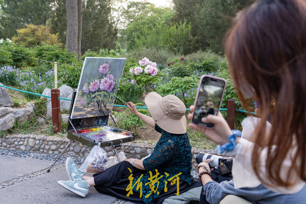 翰墨丹青绘国色，泉城牡丹醉游人