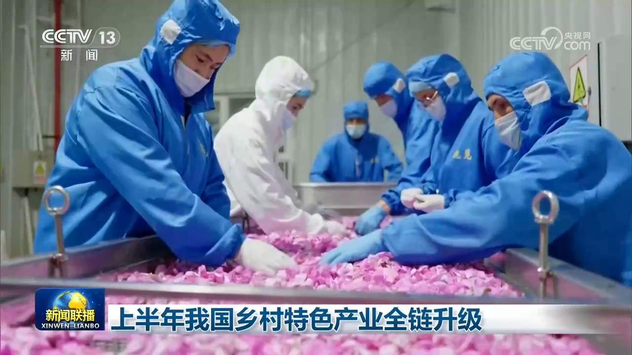 上半年我国乡村特色产业全链升级