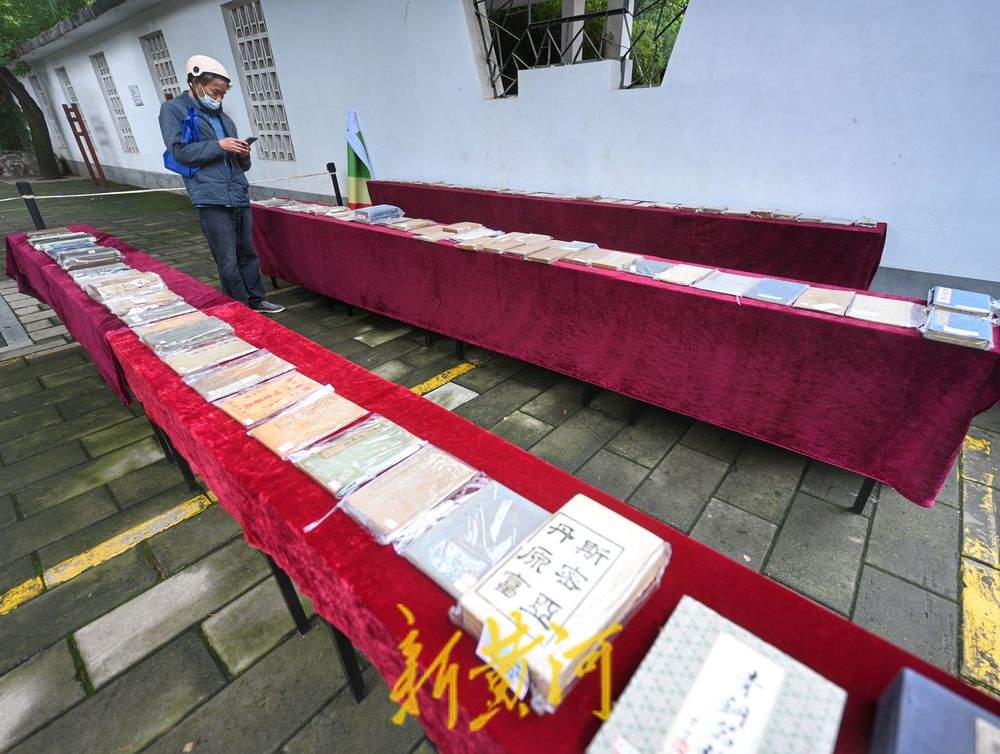 一年四季 泉在济南丨济南中山公园书香浓郁，市民游客热情“淘宝”