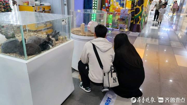 外形奇特、饲养简单，异宠带给年轻人不一样的饲养体验