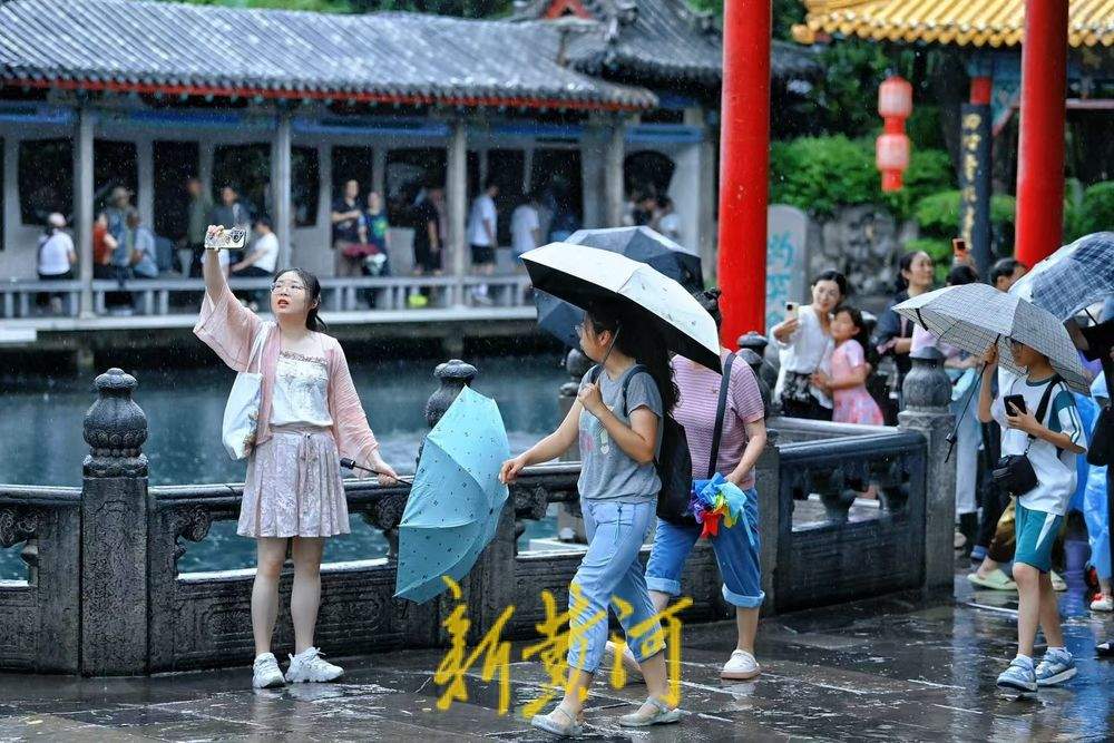 一年四季 泉在济南丨趵突泉畔雨中赏泉 仿佛置身画境