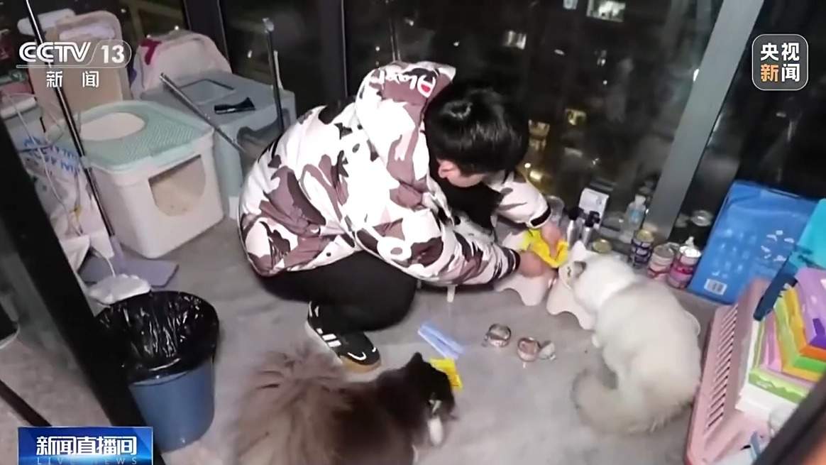 寄养一房难求、上门喂养走红 宠物经济成春节消费亮点