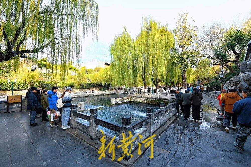 济南黑虎泉初冬“撒欢儿” 水位比去年同期高1.62米