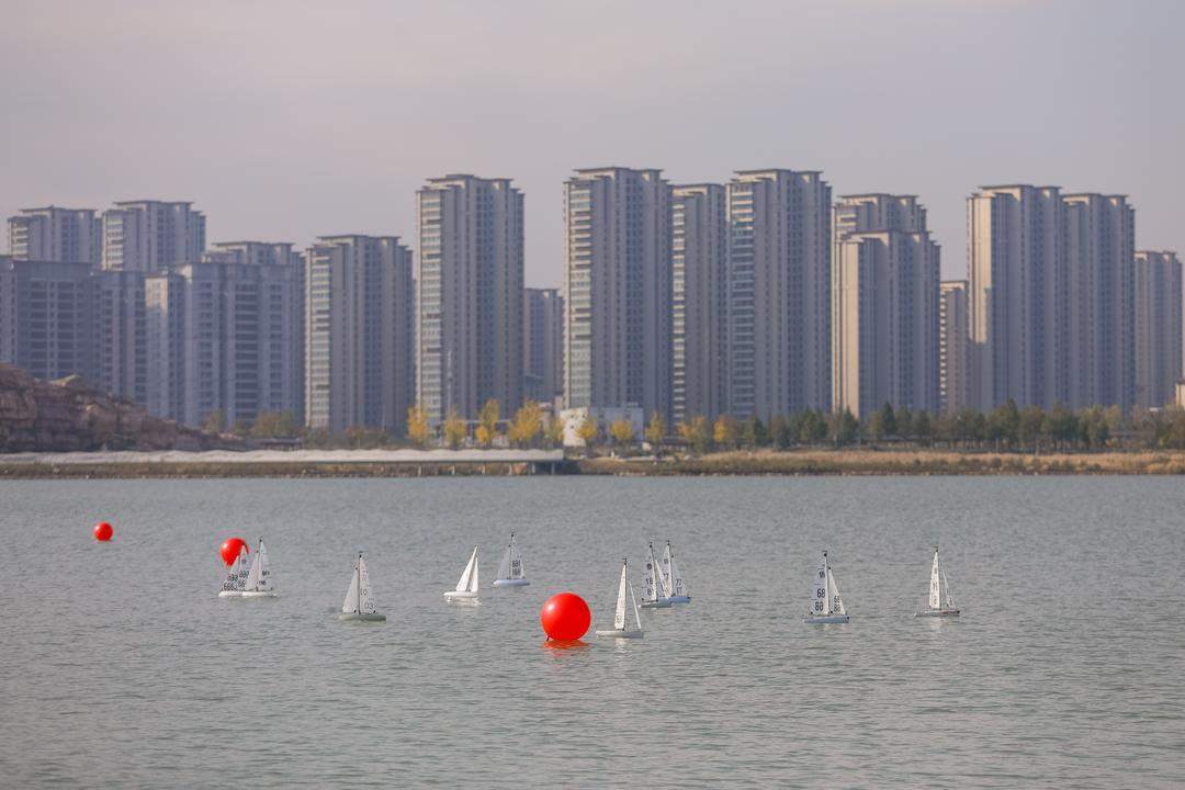 300余名青少年同台竞技!这场机器人大赛燃动上合