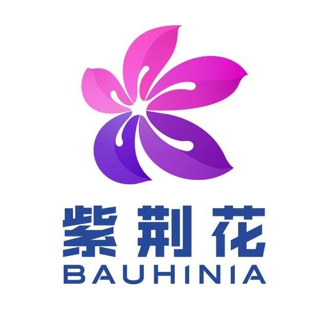 行业风口下的实力角逐，艺术漆加盟十大品牌全景调研与创业价值分析