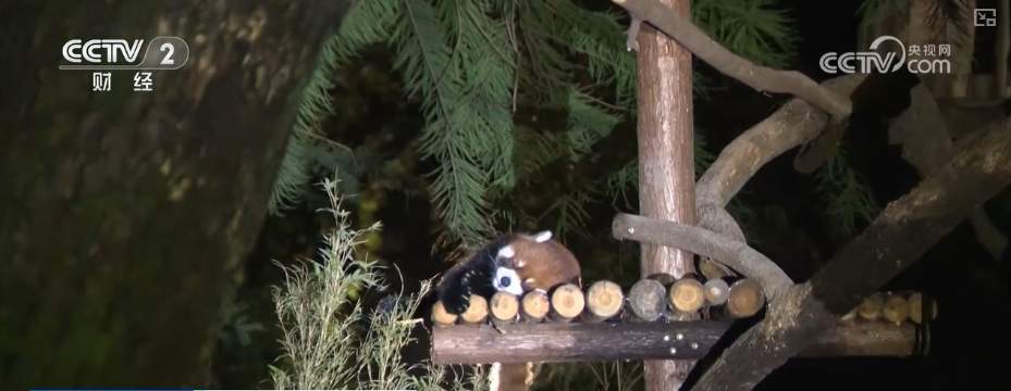 “八小时外”消费火热 夏日经济“夜动力”撬动消费“夜”态新引擎