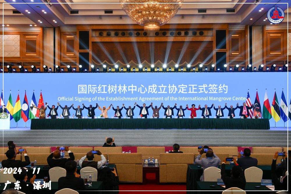 镜观·回响｜守护红树林 中国在行动