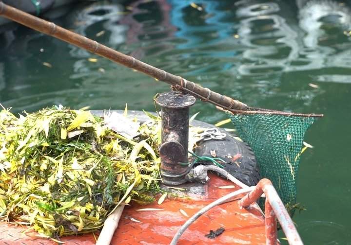 济南护城河“美容师”：一船一杆守护“一池清水”