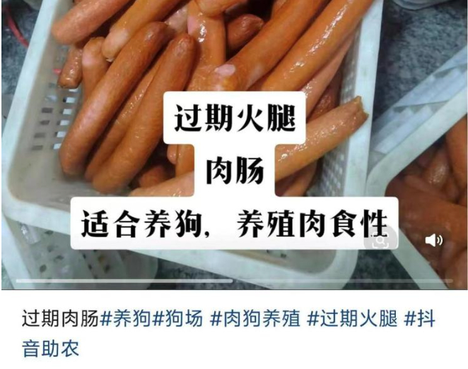 过期食品竟成宠物饲料“平替”，专家：属违法行为