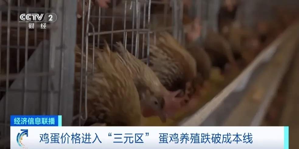蛋价跌进“3元区”!未来价格怎么走