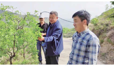 从田间到“云端” 三位“老把式”玩转新农具