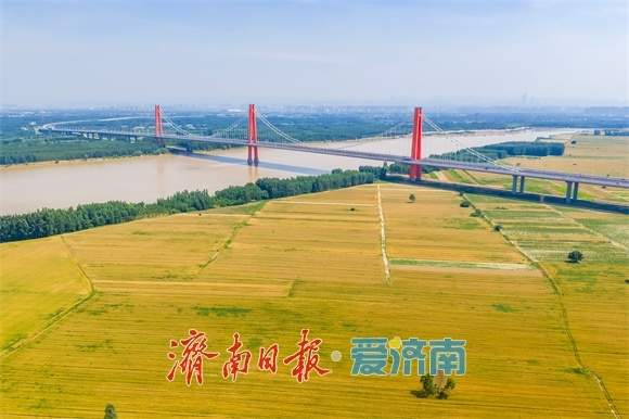 济南市出台新政赋能乡村富民产业高质量发展 五大行动22条措施激活乡村振兴新动能