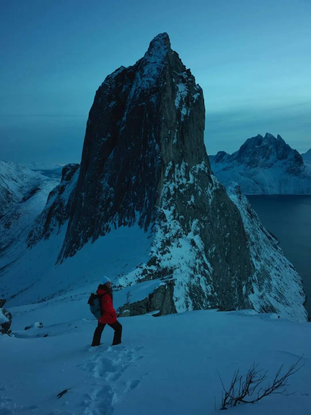 火爆全网的“派大星”博士，找到啦！