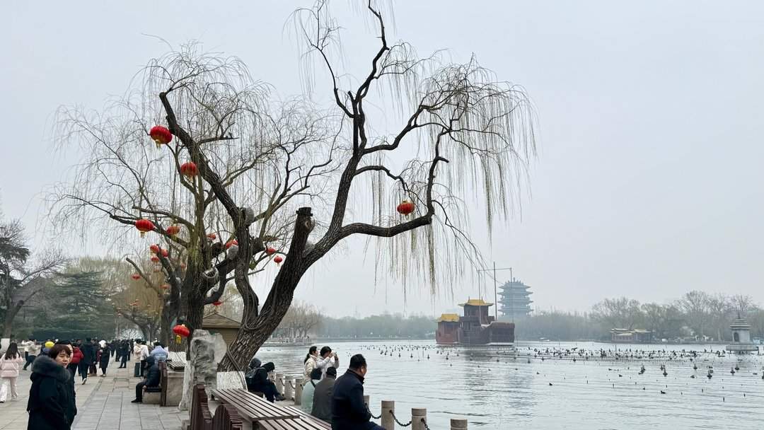 清风柳绿，春到大明湖