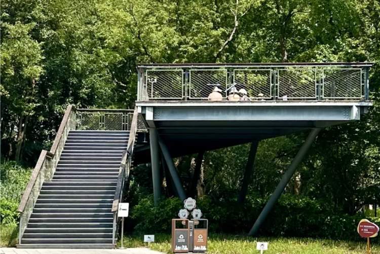 公园晒背被指辣眼睛，如何平衡个人自由与公共秩序的界限？