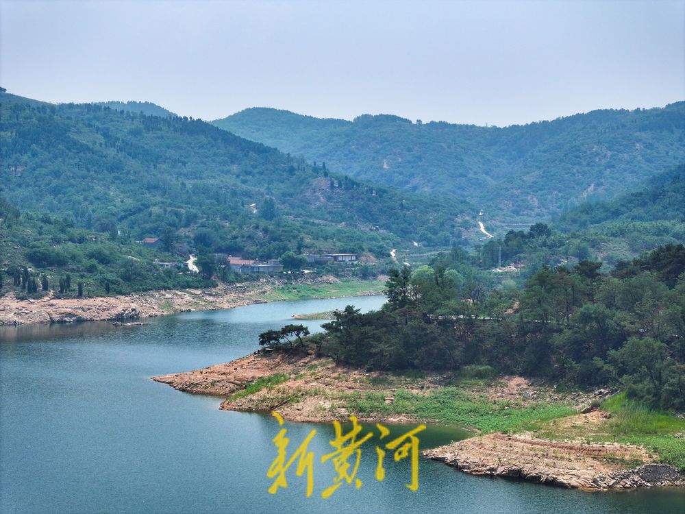 一池碧波映青山！章丘垛庄水库的盛夏生态画卷