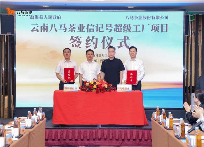 八马上市后落子勐海核心产区，三百年制茶世家数智赋能老字号焕新