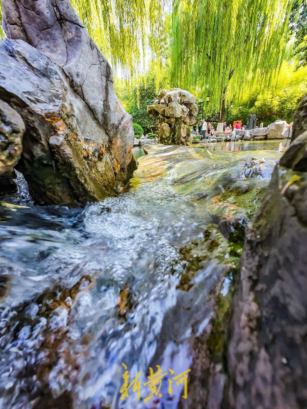 月牙泉滴水啦！济南地下水位逼近29米大关 