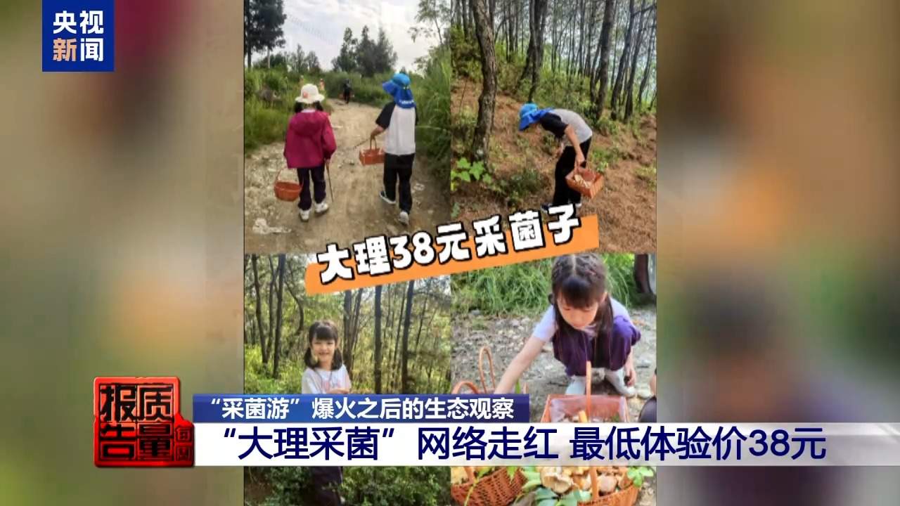 云南大理“采菌游”爆火 无序采摘已引发多起警情